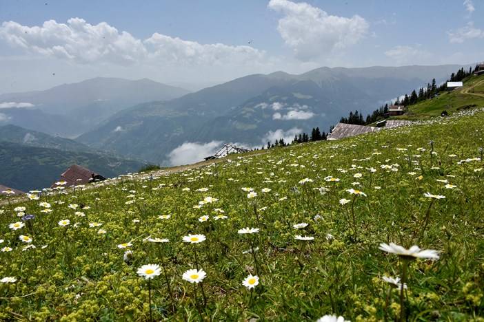 Doğu Karadeniz yaylalarından büyüleyici manzaralar 12